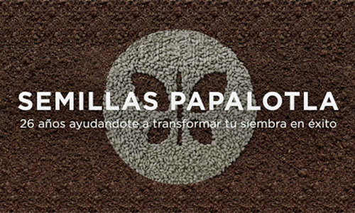 Grupo PAPALOTLA